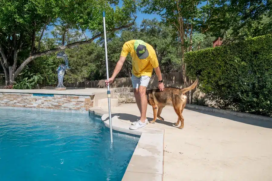 A person in a yellow shirt and cap handles pool cleaning with a pole while a brown dog stands beside them on the pool deck. Trees and greenery surround the pool area, highlighting routine pool maintenance.